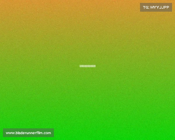 山东队今天比赛结果回放